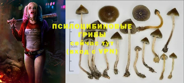 дживик Баксан