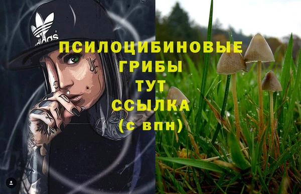 дживик Баксан