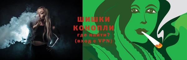 гидра Новодвинск
