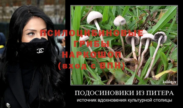 Альфа ПВП Балабаново