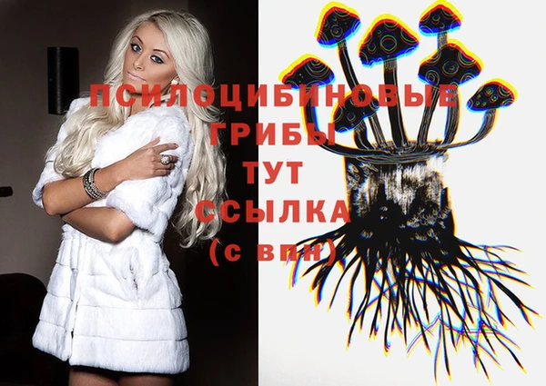 скорость Балахна